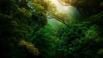 Enviromentally-Friendly-Accontant